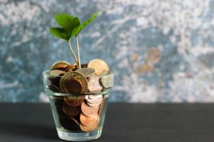 Money coin plant vase