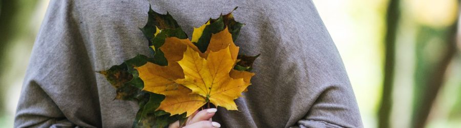 woman holding yellow and gray leaves during daytime