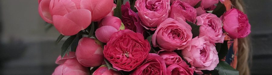 woman holding pink flowers